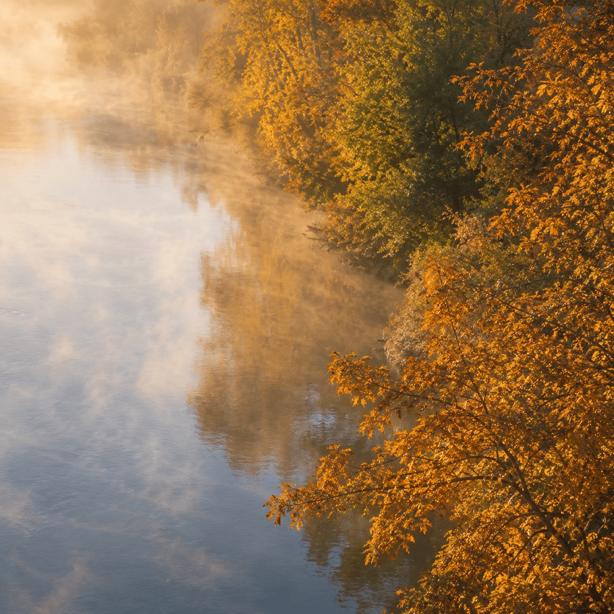 Editorial photograph of soft morning light over the Willamette in Albany with autumn trees on the bank.
